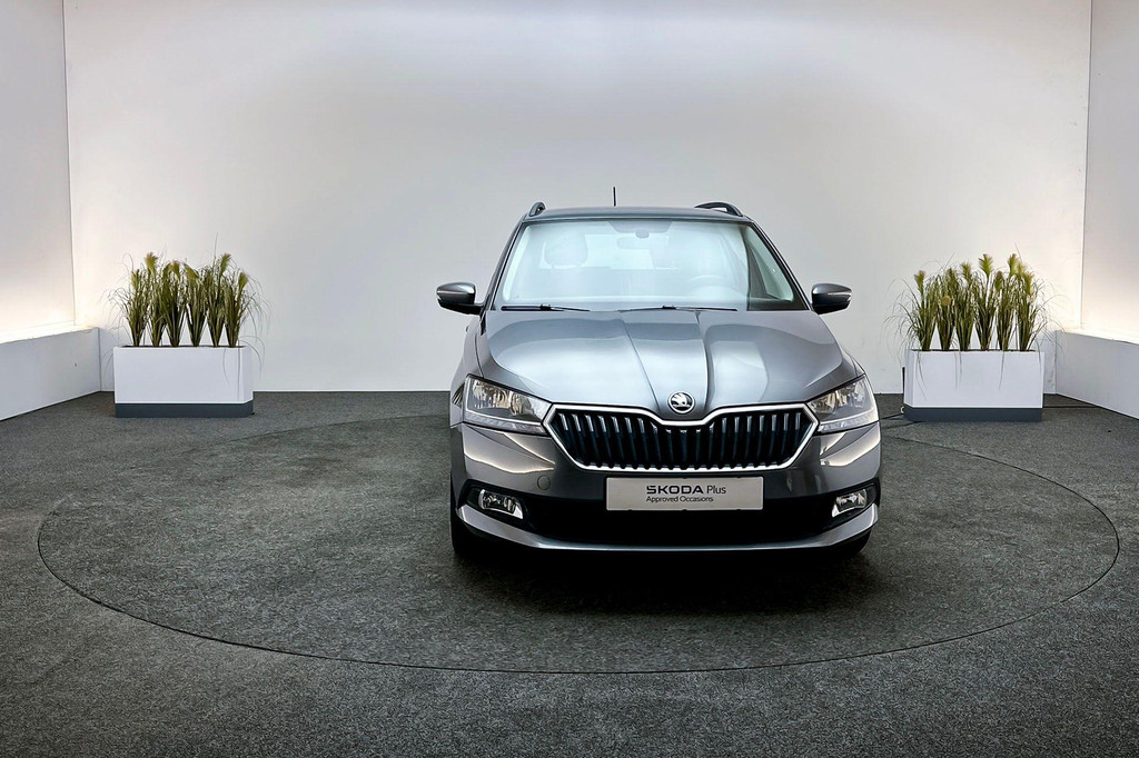 ŠKODA Fabia (P788RR) met abonnement