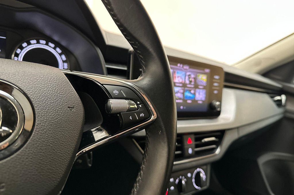 ŠKODA Kamiq (N856SN) met abonnement