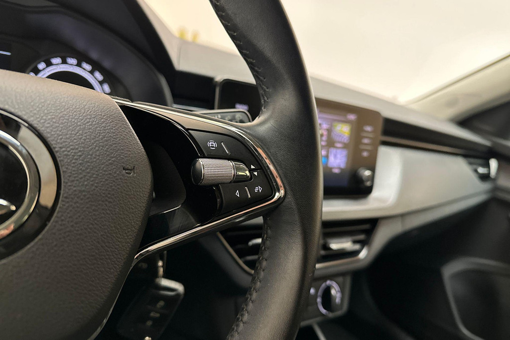 ŠKODA Kamiq (N055VF) met abonnement