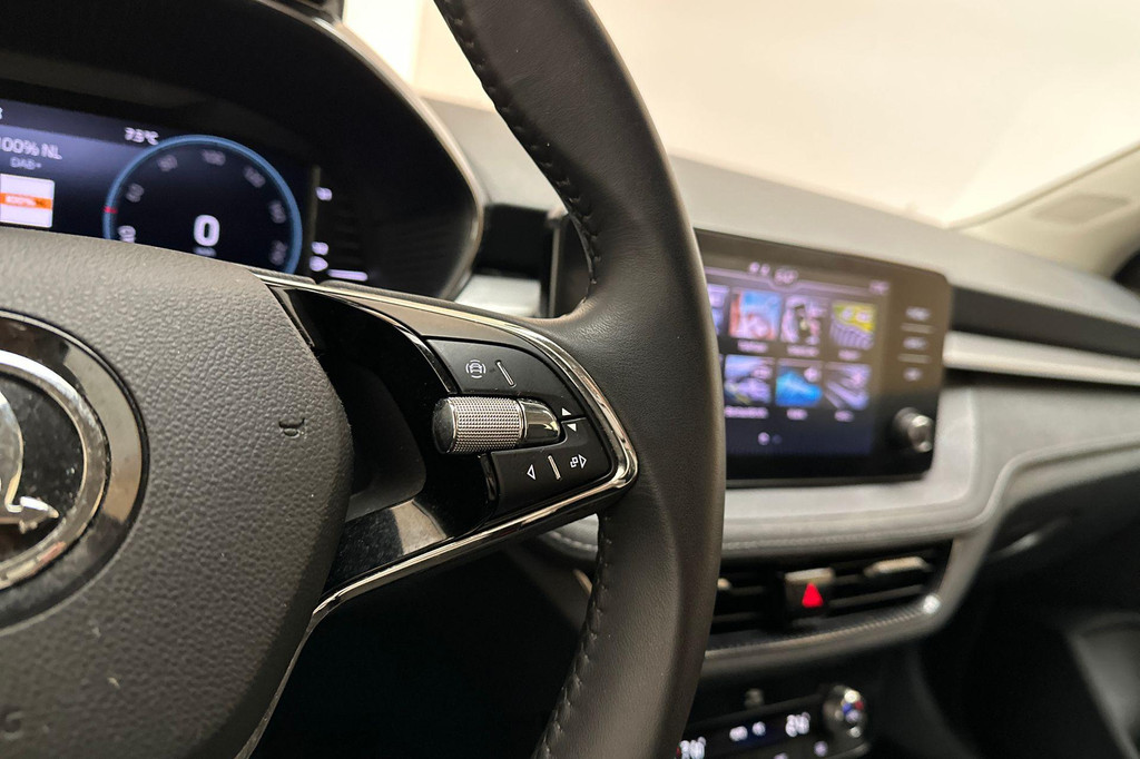 ŠKODA Fabia (X448RG) met abonnement