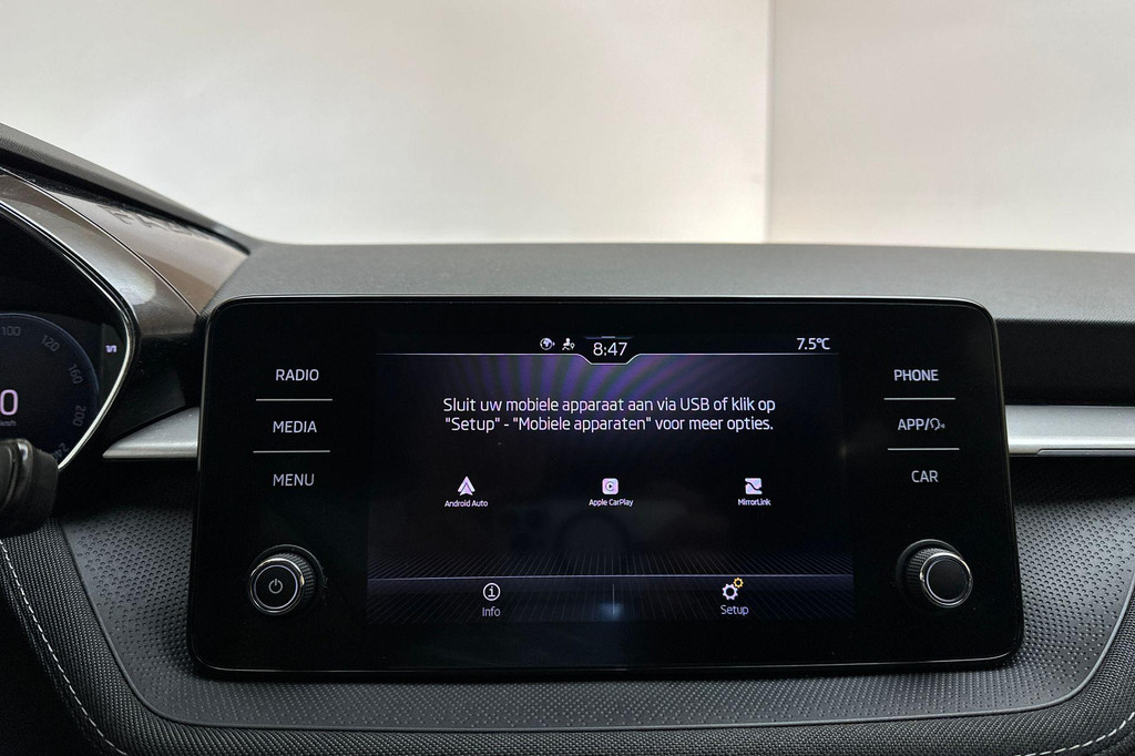 ŠKODA Fabia (X448RG) met abonnement