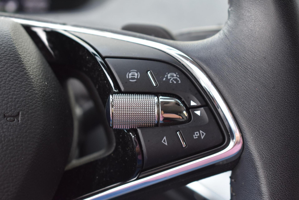 ŠKODA ENYAQ iV (P656FZ) met abonnement