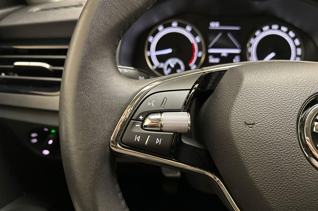 ŠKODA Scala (X249PD) met abonnement