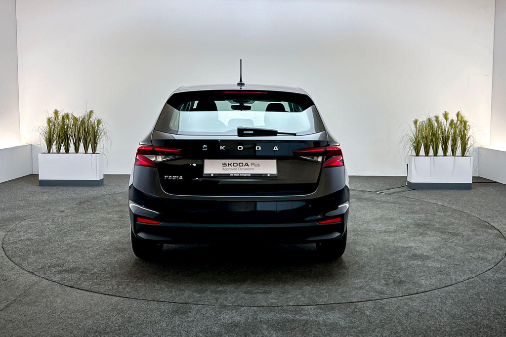 ŠKODA Fabia (P503KS) met abonnement
