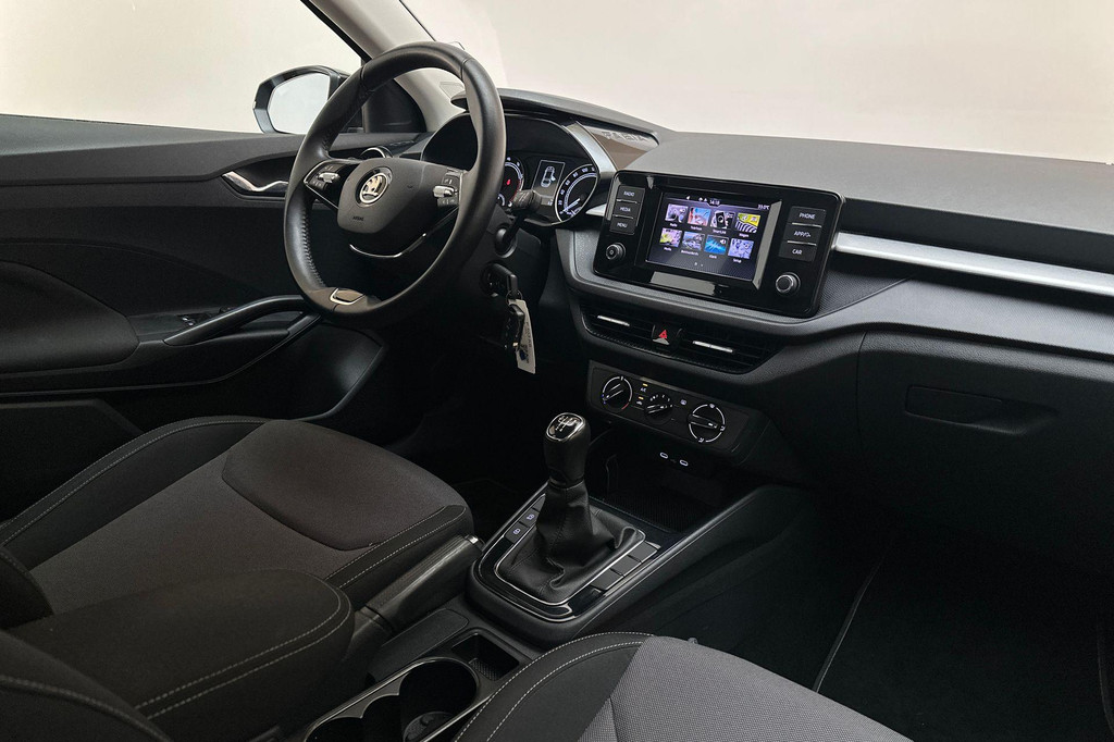 ŠKODA Fabia (P503KS) met abonnement