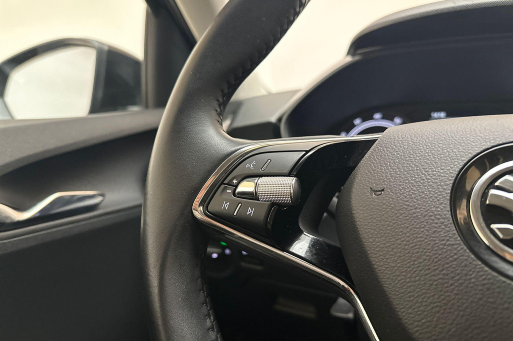 ŠKODA Fabia (P503KS) met abonnement