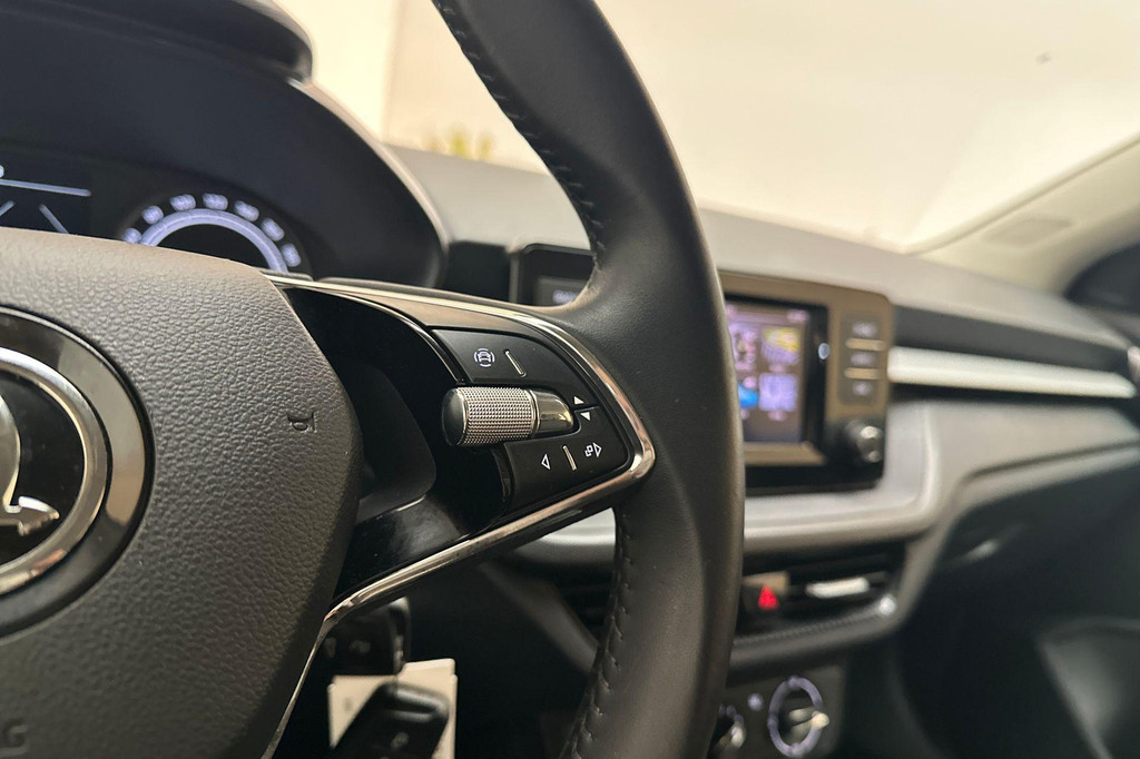 ŠKODA Fabia (P503KS) met abonnement