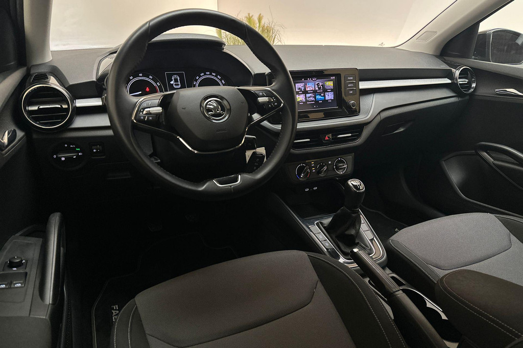 ŠKODA Fabia (P503KS) met abonnement