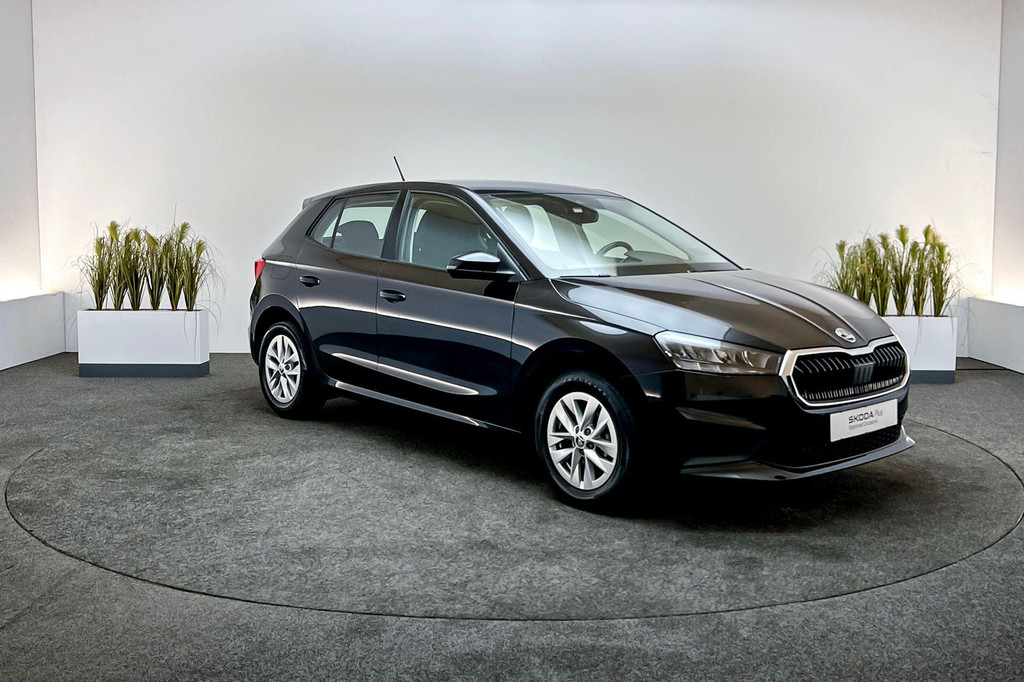 ŠKODA Fabia (P503KS) met abonnement