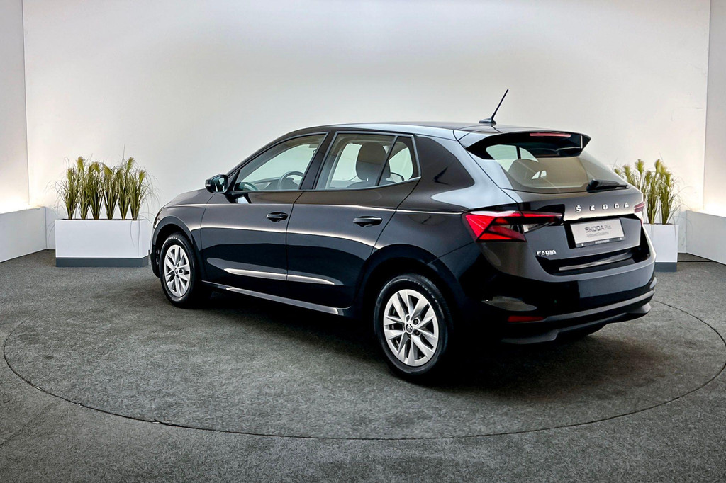 ŠKODA Fabia (P503KS) met abonnement