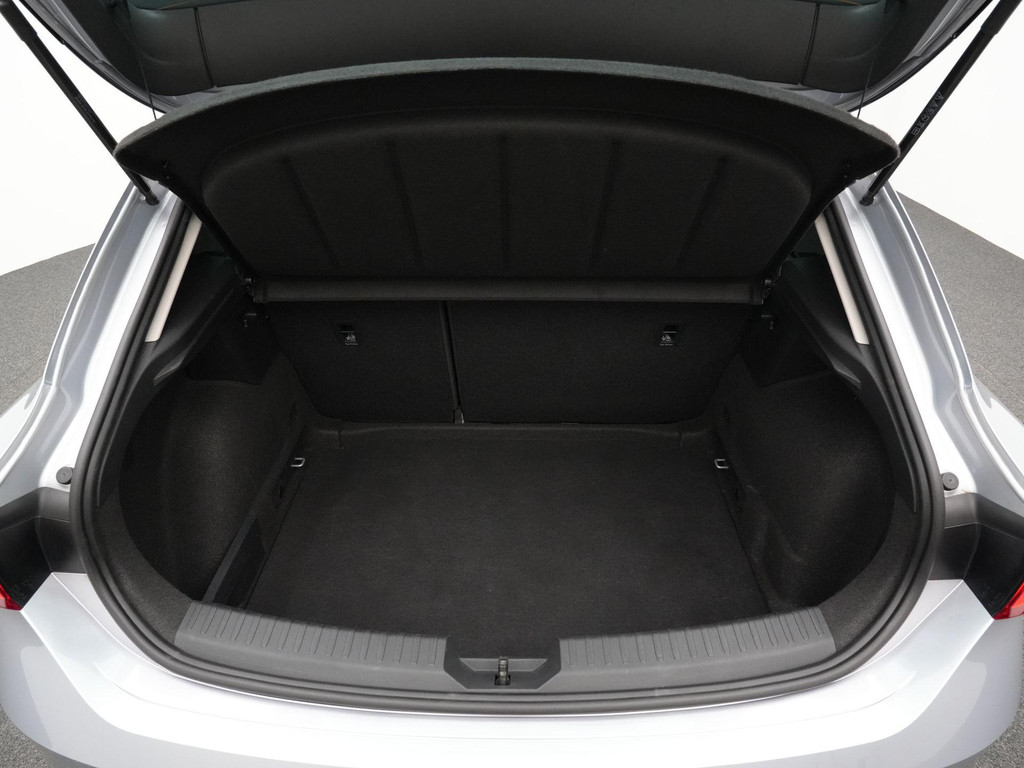 Seat Leon (X244NS) met abonnement