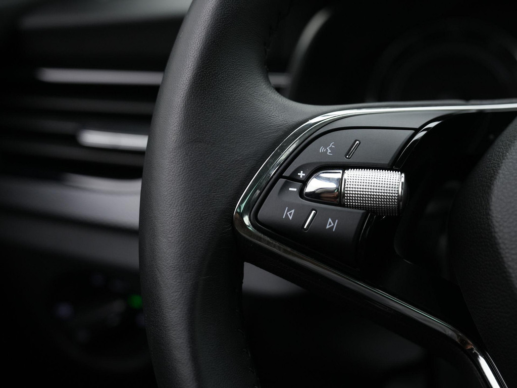 ŠKODA Kamiq (X084NB) met abonnement
