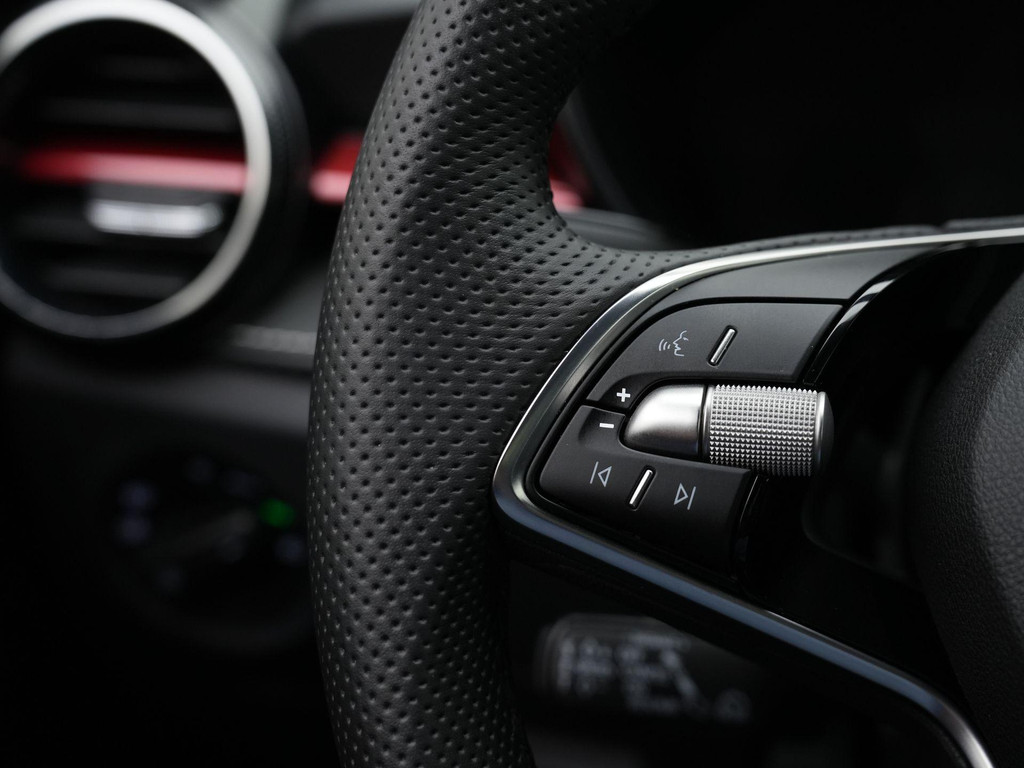 ŠKODA Fabia (HZH63L) met abonnement