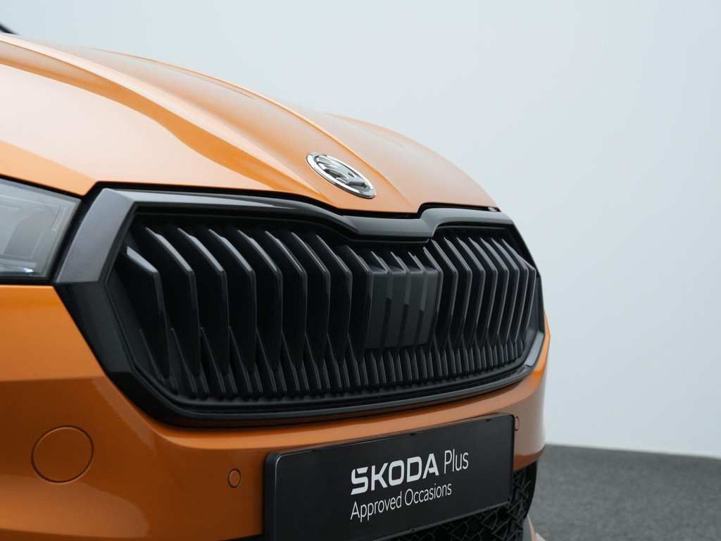 ŠKODA Fabia (HZH63L) met abonnement
