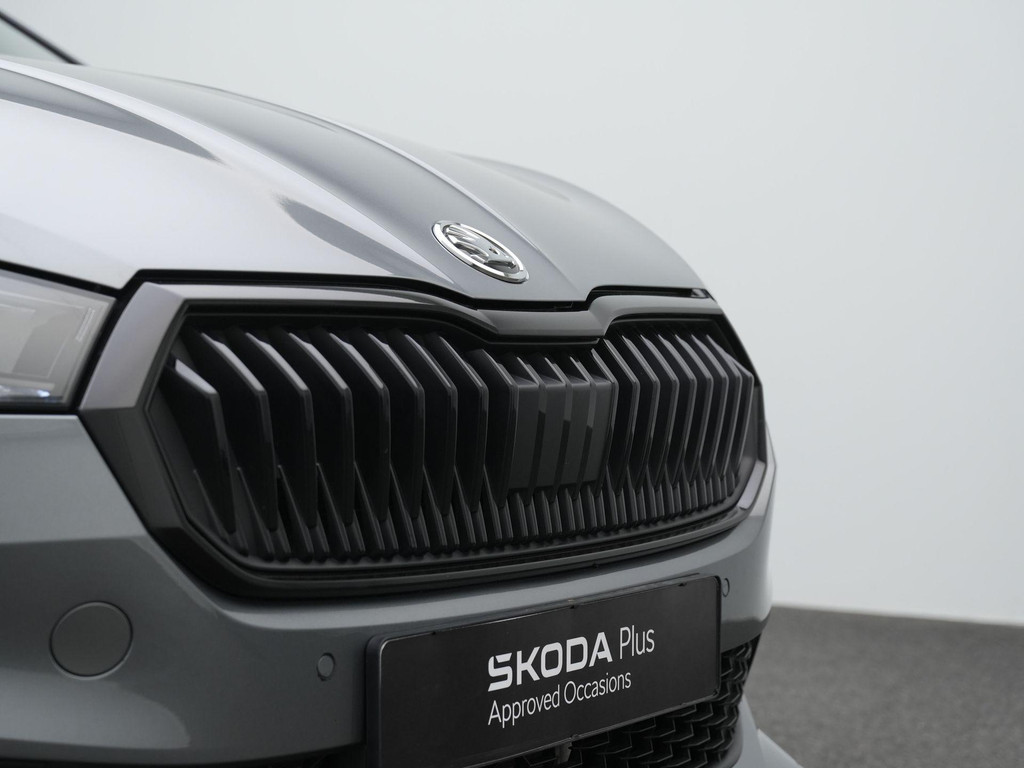 ŠKODA Fabia (HZG34K) met abonnement
