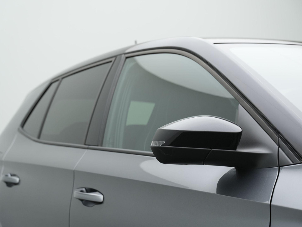 ŠKODA Fabia (HZG34K) met abonnement