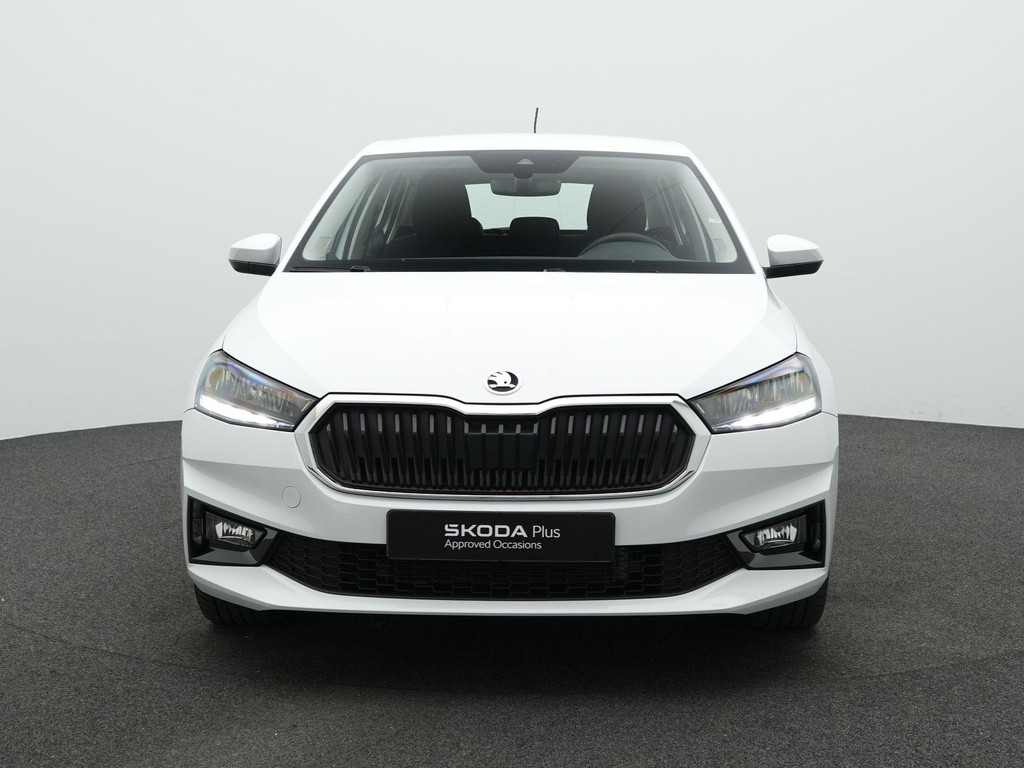 ŠKODA Fabia (Z978GZ) met abonnement