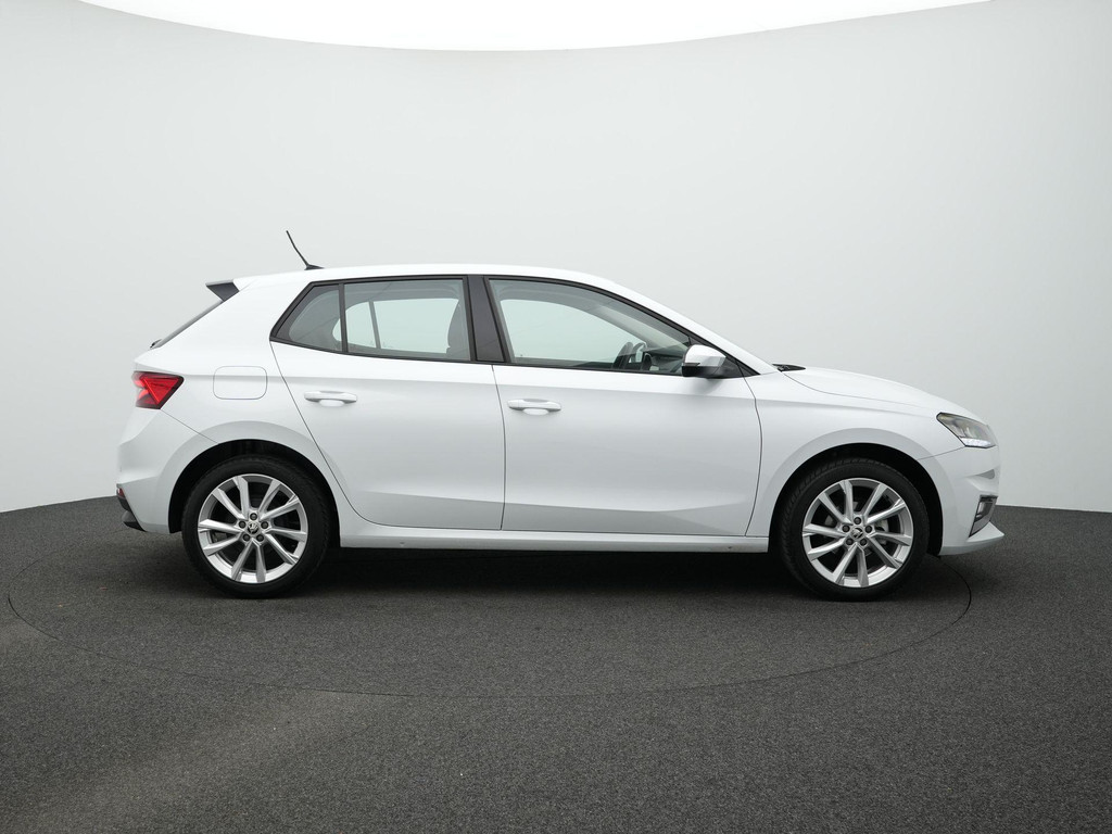 ŠKODA Fabia (Z978GZ) met abonnement