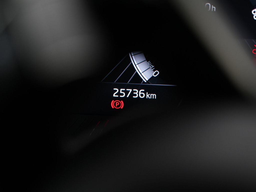 ŠKODA Fabia (Z978GZ) met abonnement