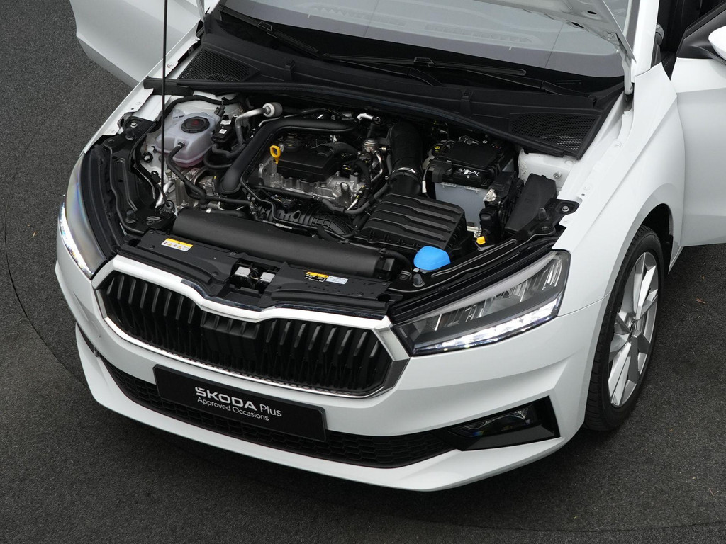 ŠKODA Fabia (Z978GZ) met abonnement