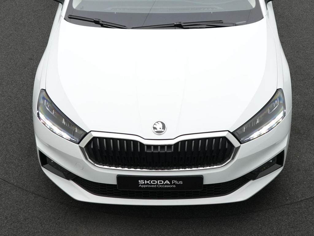 ŠKODA Fabia (Z978GZ) met abonnement