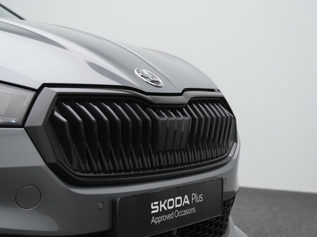 ŠKODA Fabia (HZG35K) met abonnement