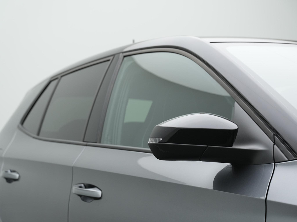 ŠKODA Fabia (HZG35K) met abonnement