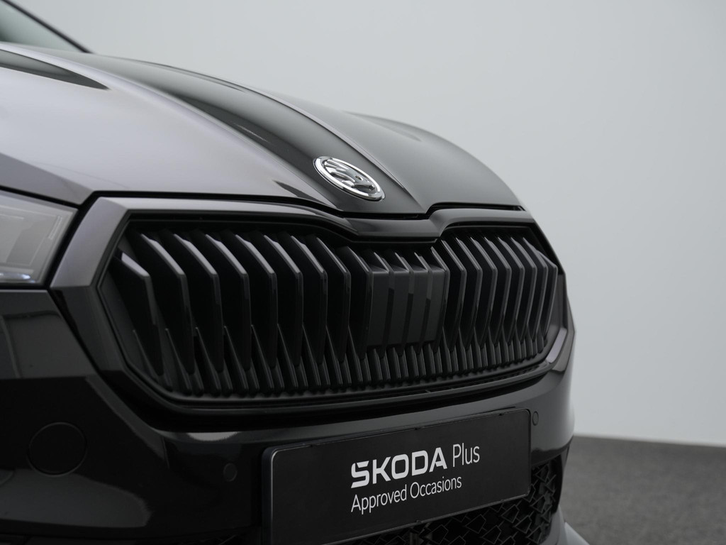 ŠKODA Fabia (HZG33K) met abonnement