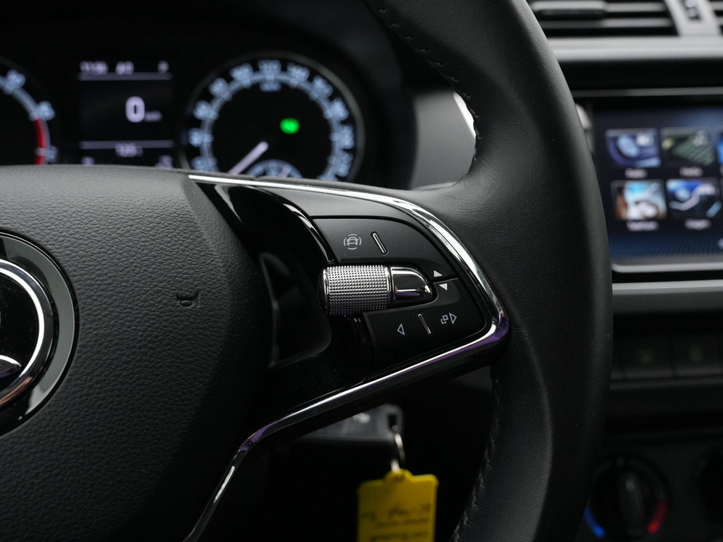 ŠKODA Fabia (K496ZV) met abonnement