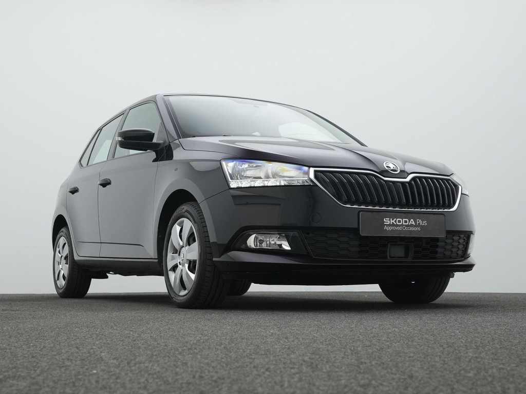 ŠKODA Fabia (K496ZV) met abonnement
