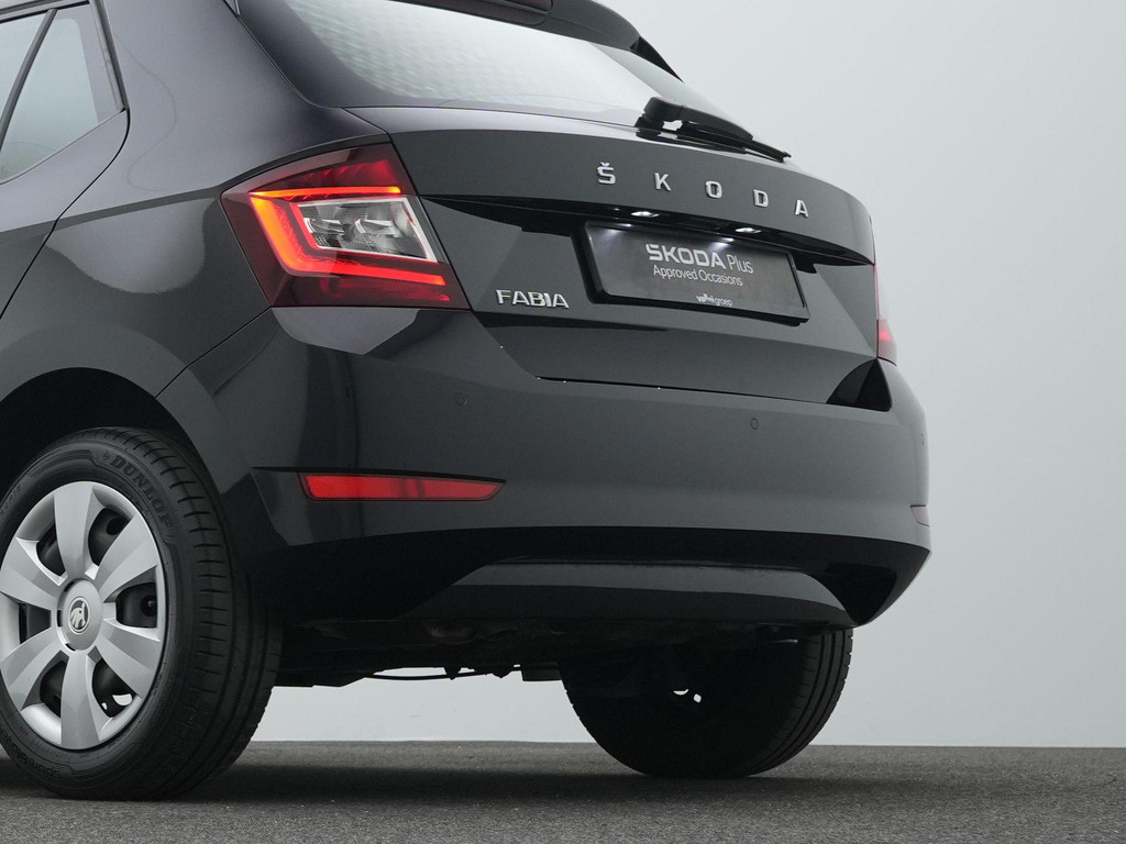ŠKODA Fabia (K496ZV) met abonnement