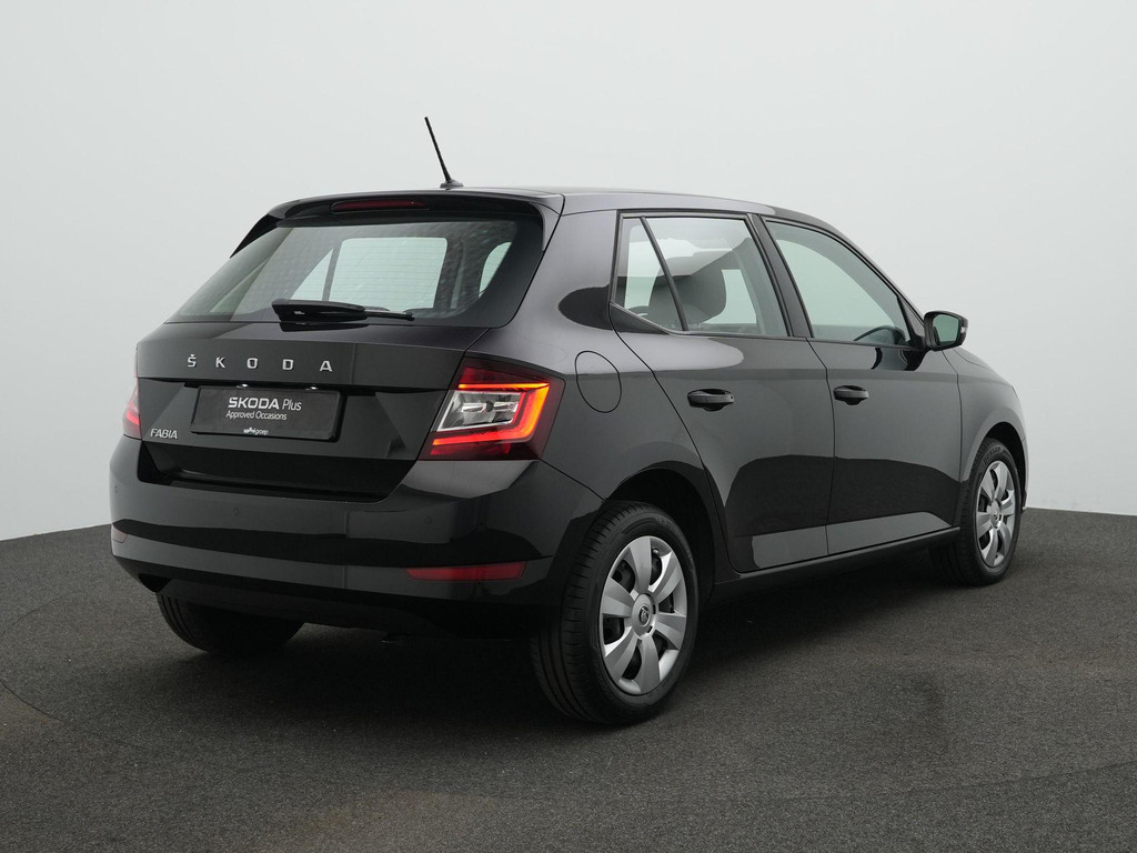 ŠKODA Fabia (K496ZV) met abonnement