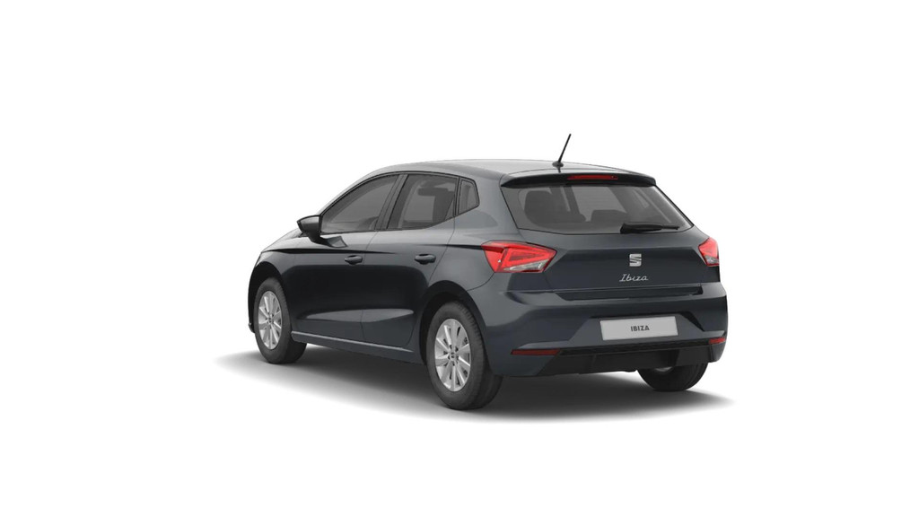 Seat Ibiza (JZB25N) met abonnement