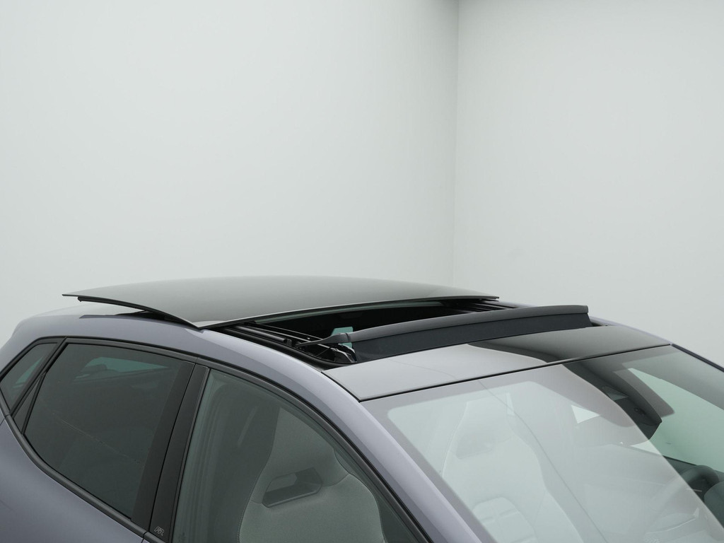 Seat Ibiza (JRT70Z) met abonnement