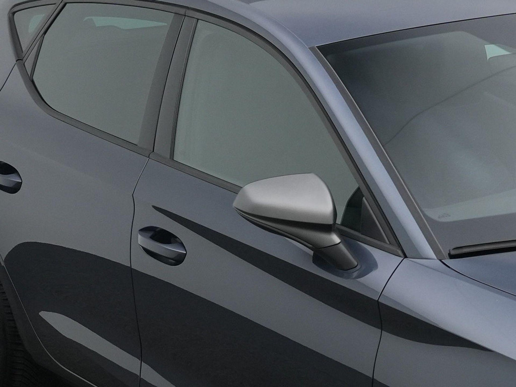 Seat Leon (N909VZ) met abonnement