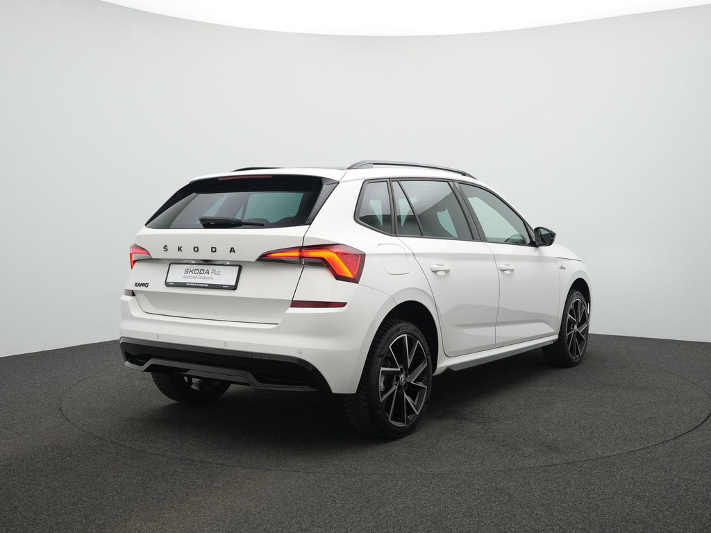ŠKODA Kamiq (KLB81L) met abonnement