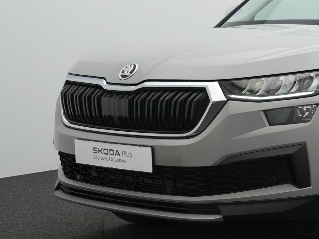 ŠKODA Kodiaq (S217FB) met abonnement