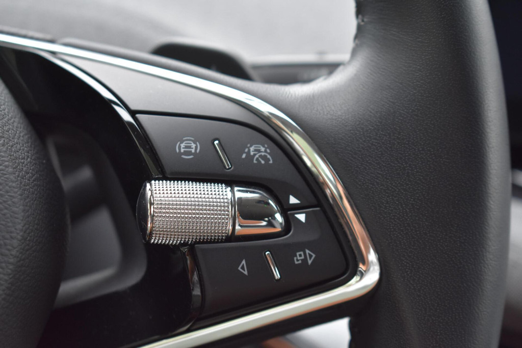 ŠKODA ENYAQ iV (S037KG) met abonnement