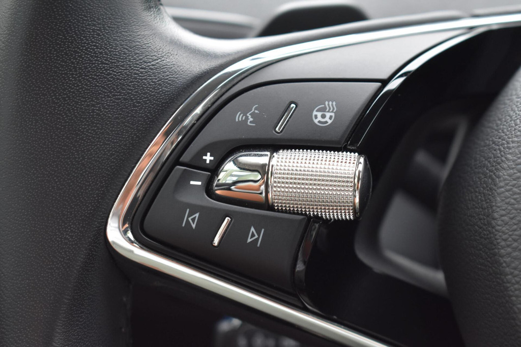 ŠKODA ENYAQ iV (S037KG) met abonnement