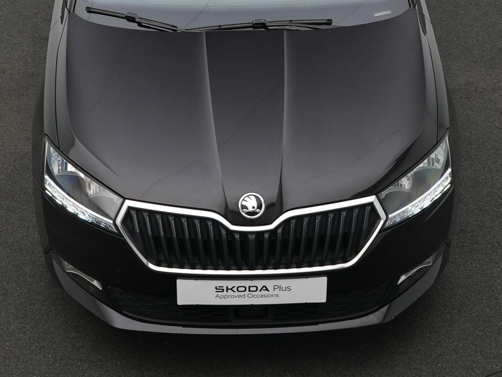 ŠKODA Fabia (L748LF) met abonnement