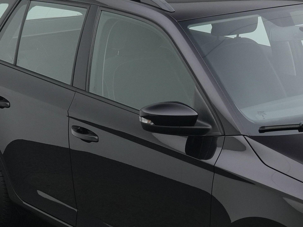 ŠKODA Fabia (L748LF) met abonnement
