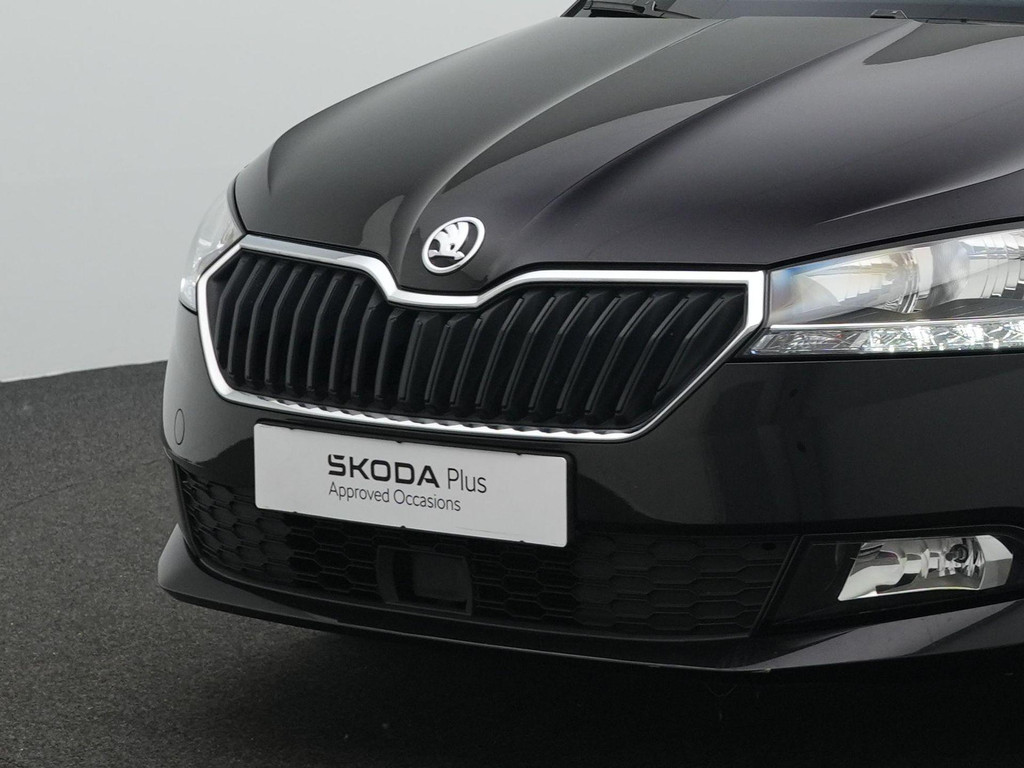 ŠKODA Fabia (L748LF) met abonnement