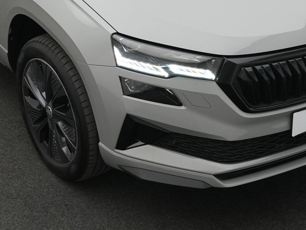 ŠKODA Karoq (T846JR) met abonnement