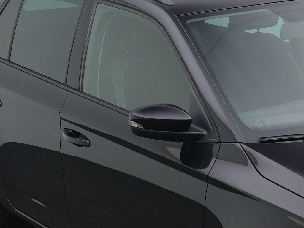 ŠKODA Fabia (L207TB) met abonnement