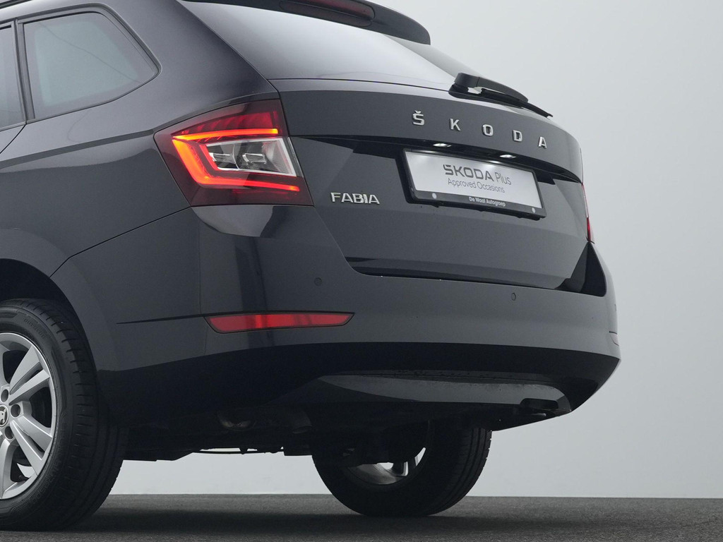 ŠKODA Fabia (L207TB) met abonnement
