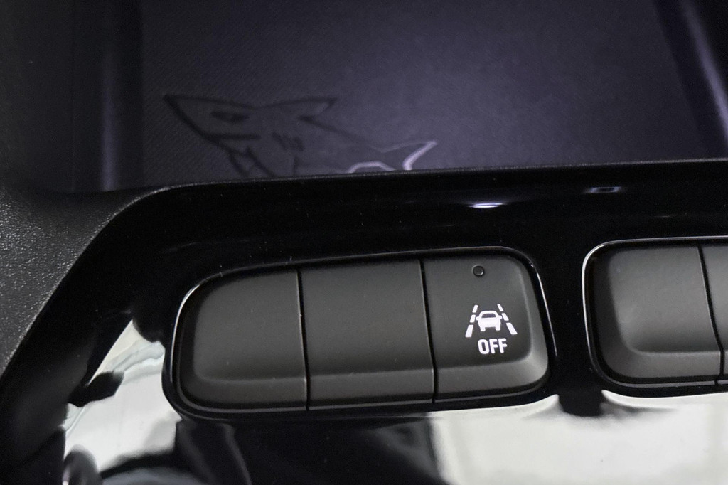 Opel CORSA-E (KNL20G) met abonnement