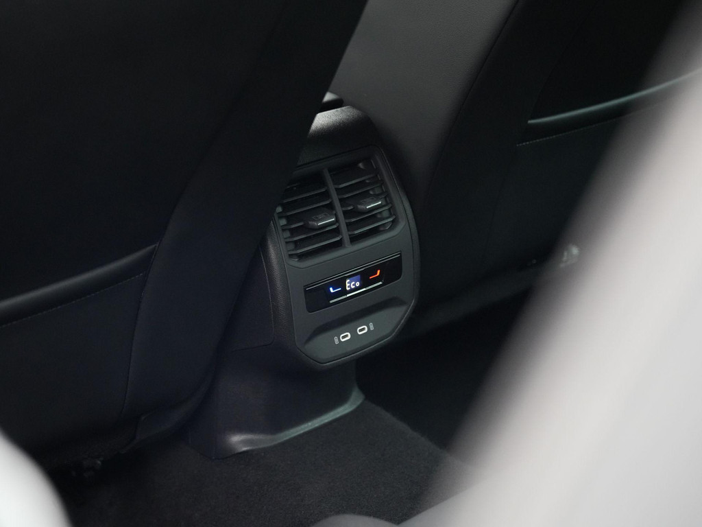 CUPRA Leon (KXF80B) met abonnement