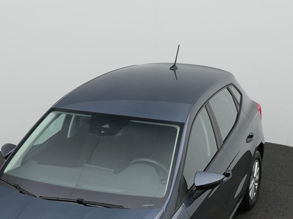 Seat Ibiza (HDN19J) met abonnement
