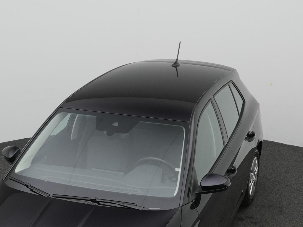 ŠKODA Fabia (GFX32B) met abonnement