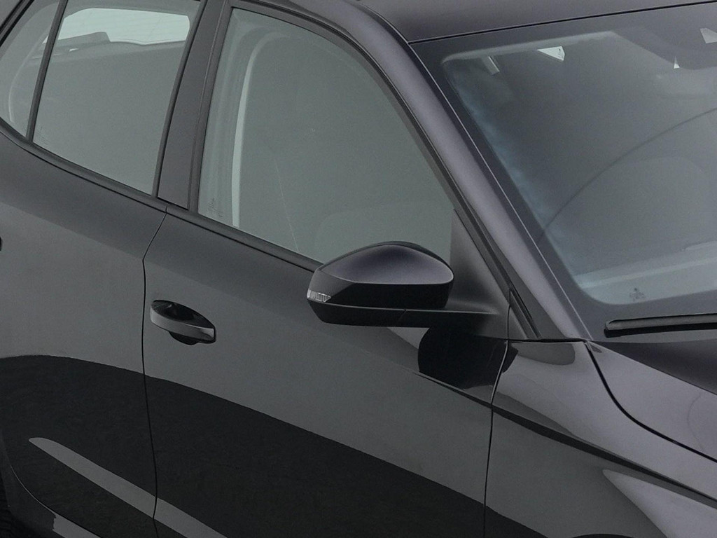 ŠKODA Fabia (GFX32B) met abonnement
